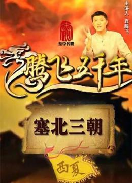 腾飞五千年之两宋风云