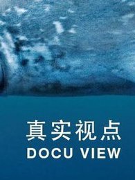 真实视点