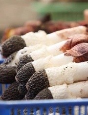 标点美食-a标点视频在线观看-爱奇艺蔡依林视频图片