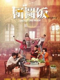 团圆饭未删减版