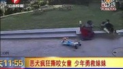 <em>古村女人</em>(更新至26集)-全集在线观看-电视剧-爱