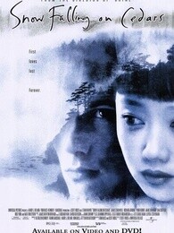 爱在冰雪纷飞时[美国]