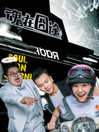 魂在囧途免费观看