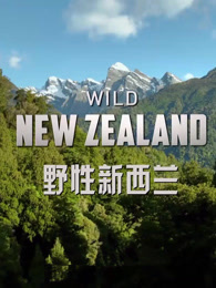 bbc:野性新西兰