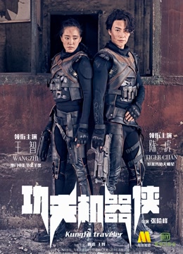 功夫机器侠之南拳-在线观看-电影-爱奇艺全网影