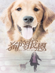 狗的报恩-正版-视频高清电影--爱奇艺巴拉拉魔仙的电影图片